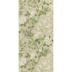 GP and J Baker Emperor's Garden Soft Green 45000-10 Signature II Wallpapers Collection Wall Covering