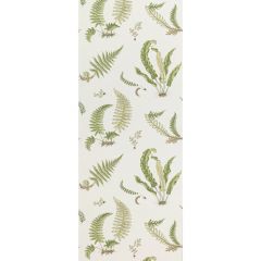 GP and J Baker Ferns Leaf 45044-10 Signature II Wallpapers Collection Wall Covering