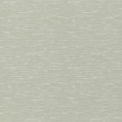 GP and J Baker Grasscloth Soft Green 45049-6 Signature Collection Wall Covering
