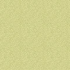 GP and J Baker Tansy Green 45116-1 House Small Prints Wallpaper Collection Wall Covering