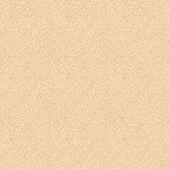 GP and J Baker Tansy Blush 45116-3 House Small Prints Wallpaper Collection Wall Covering