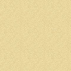 GP and J Baker Tansy Parchment 45116-4 House Small Prints Wallpaper Collection Wall Covering