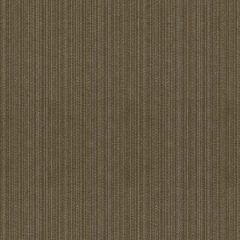 Kravet Contract Strie Velvet 33353-1611 Guaranteed in Stock Indoor Upholstery Fabric