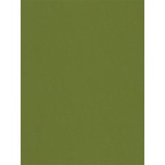 Kravet Smart Green 32565-303 Guaranteed in Stock Indoor Upholstery Fabric