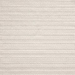 Bella Dura Chimera Silver 29580D8-1 Upholstery Fabric