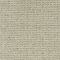 Robert Allen Tex Weave Snow 174495 Indoor Upholstery Fabric