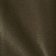 F Schumacher Rocky Performance Velvet Lichen 70497 Perfect Basics: Rocky Performance Velvet Collection Indoor Upholstery Fabric