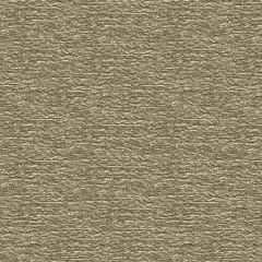 Kravet Twos Company Nickel 33455-21 Modern Luxe II Collection Indoor Upholstery Fabric