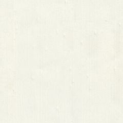 Kravet Basics White 9749-101 Guaranteed in Stock Drapery Fabric