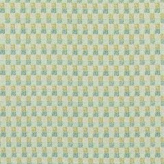 Groundworks Dash Endive GWF-3723-353 by Kelly Wearstler Multipurpose Fabric