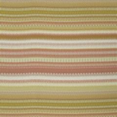 Robert Allen Alpenglow Sunray 241135 Botanical Color Collection Indoor Upholstery Fabric