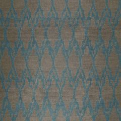 Robert Allen Contract Graphic Nature-Capri 242360 Decor Upholstery Fabric