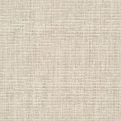 Robert Allen Empire City Pale Cream 246962 Ribbed Textures Collection Indoor Upholstery Fabric