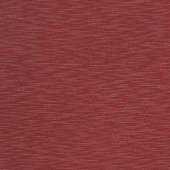Robert Allen Contract Calm Waters Blush 224623 Decorative Dim-out Collection Drapery Fabric