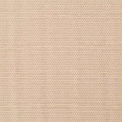 Robert Allen Henry Square Blush 255655 Enchanting Color Collection Indoor Upholstery Fabric