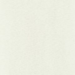 Robert Allen Nashua Sand 243419 Drapeable Elegant Textures Collection Multipurpose Fabric