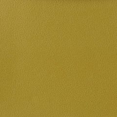 Kravet Otto Green 3 Indoor Upholstery Fabric