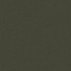 Kravet Ultrasuede Green Hunter 30787-330 Indoor Upholstery Fabric