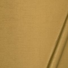 Robert Allen Tramore II-Nugget 193778 Decor Multi-Purpose Fabric