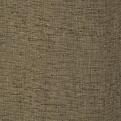 Robert Allen Peyton Brindle 243310 Drapeable Tonal Textures Collection Multipurpose Fabric