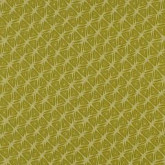 Robert Allen Contract Tiki Torch Citron 194256 Indoor Upholstery Fabric