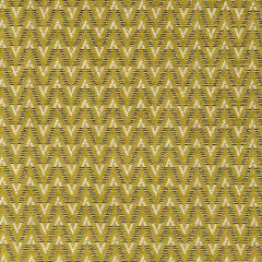 Clarke and Clarke Zion Chartreuse Avalon Collection Multipurpose Fabric