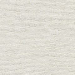Kravet Basics Beige 30446-1 Indoor Upholstery Fabric