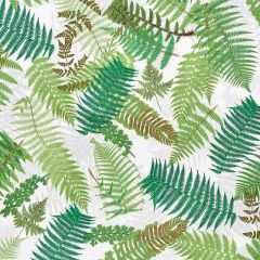F Schumacher Fernarium Green and Ivory 177590 by Clements Ribeiro Indoor Upholstery Fabric