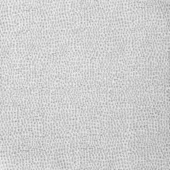 Bella Dura Astoria Silvermine 22309C6-7 Upholstery Fabric