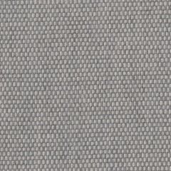 Perennials Tisket Tasket Platinum 920-207 Rodeo Drive Collection Upholstery Fabric