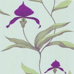 Cole and Son Orchid Turquoi 66-4027 New Contemporary Collection Wall Covering