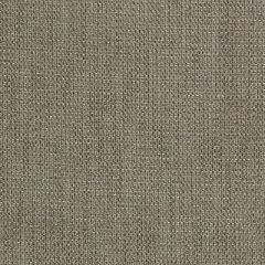 Duralee Chinchilla 36253-319 Decor Fabric