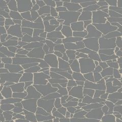 Kravet Zaria Graphite 34171-1621 by Candice Olson Multipurpose Fabric