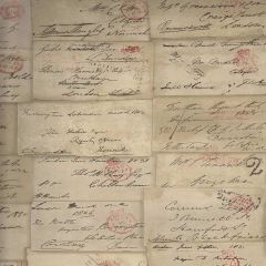Kravet Love Letter Parchment AMW10043-16 Andrew Martin Navigator Collection Wall Covering