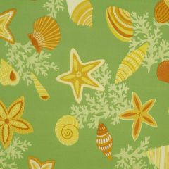 Robert Allen Beach Bongo Citrus 173681 Indoor/Outdoor Drapery Fabric