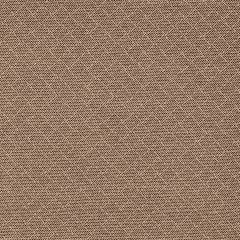 Robert Allen Marble Arch Carob 258848 Nomadic Color Collection Indoor Upholstery Fabric