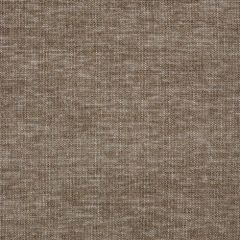 Sunbrella Platform Fawn 42091-0008 The Pure Collection Upholstery Fabric