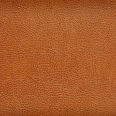Kravet Design Acoustic Brown 24 Indoor Upholstery Fabric