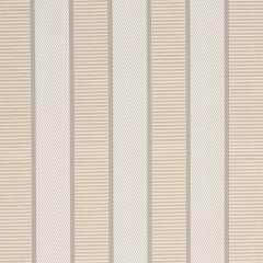 F Schumacher Ribbon Stripe Champagne 77101 by Timothy Corrigan Indoor Upholstery Fabric