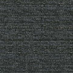 Perennials Crepe Du Jour Anthracite 973-204 Camp Wannagetaway Collection Upholstery Fabric