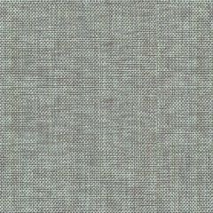 Kravet Basics Grey 30299-52 Perfect Plains Collection Multipurpose Fabric