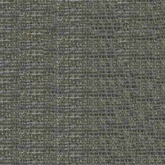 Endurepel Thomas 9006 Battleship Grey Indoor Upholstery Fabric