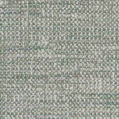 F Schumacher Auckland Performance Grass 76413 Textures Collection Indoor Upholstery Fabric