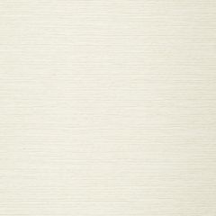 Robert Allen Gizmo Cream 243331 Drapeable Tonal Textures Collection Multipurpose Fabric
