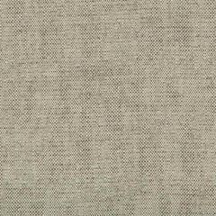 Kravet Design 35135-1611 Crypton Home Indoor Upholstery Fabric