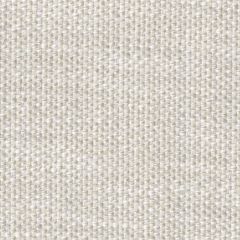 Perennials Whippersnapper Sea Salt 925-124 Rodeo Drive Collection Upholstery Fabric