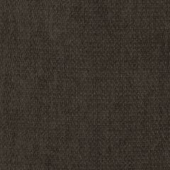 Beacon Hill Casello-Otter Brown 239009 Decor Upholstery Fabric