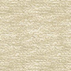 Kravet Twos Company Platinum 33455-16 Modern Luxe Collection Indoor Upholstery Fabric