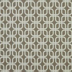 Robert Allen Plush Links Greystone 226717 Indoor Upholstery Fabric