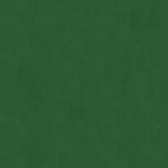 Kravet Smart Green 32565-333 Guaranteed in Stock Indoor Upholstery Fabric